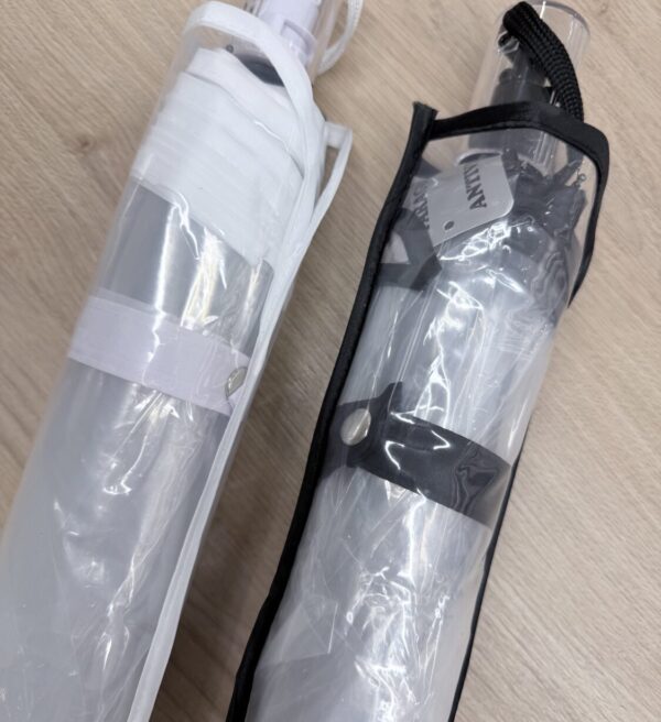 Alternative view of Paraguas Transparente