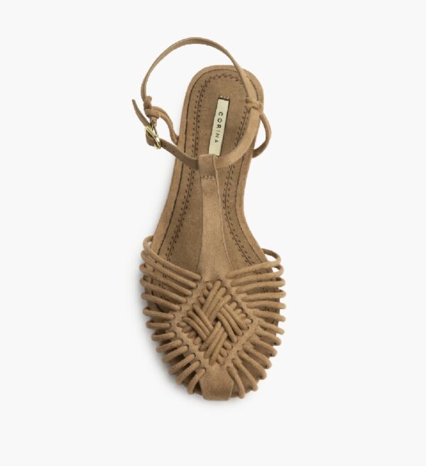 Alternative view of Cangrejera M6396 Camel