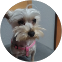 Marivi Garcia profile picture