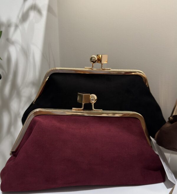 Alternative view of Bolso Lenia