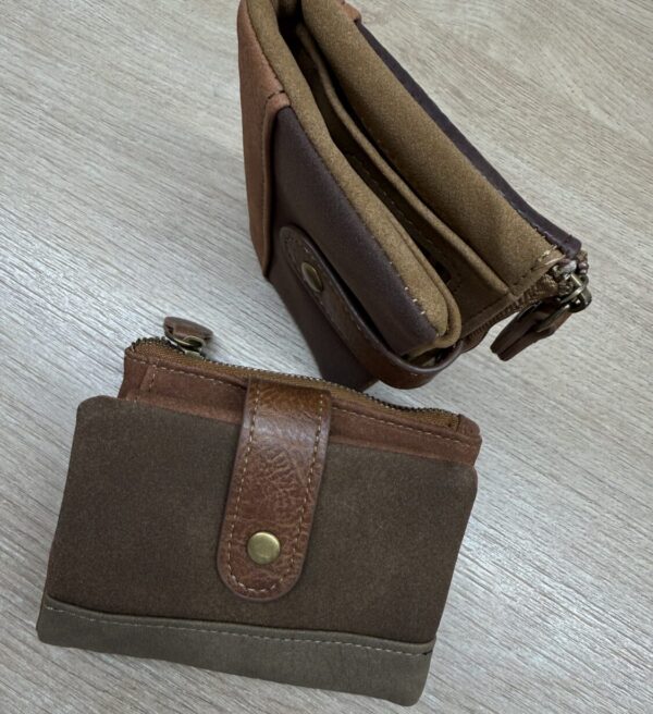 Alternative view of Cartera Pliana