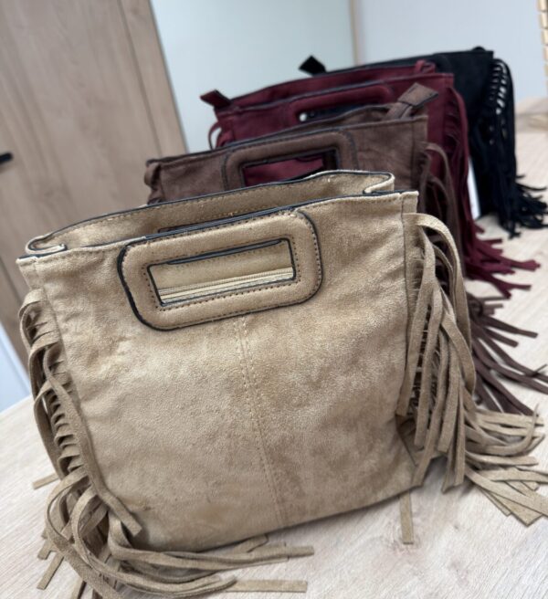 Alternative view of Bolso Guila